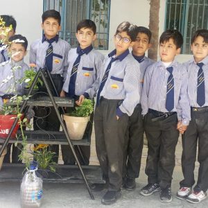 seeding activity